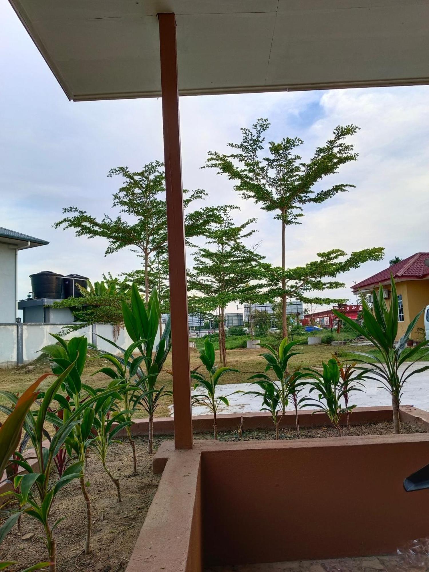 Alfa Roomstay Pantai Cenang  Ngoại thất bức ảnh